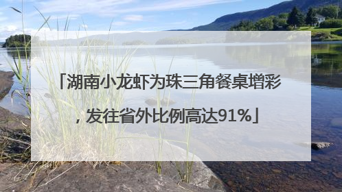 湖南小龙虾为珠三角餐桌增彩，发往省外比例高达91%