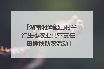 湖南湘潭韶山村举行生态农业共富责任田插秧助农活动