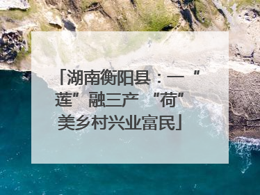 湖南衡阳县：一“莲”融三产 “荷”美乡村兴业富民