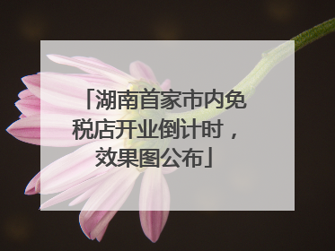 湖南首家市内免税店开业倒计时，效果图公布