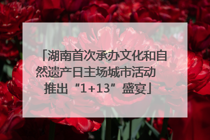 湖南首次承办文化和自然遗产日主场城市活动 推出“1+13”盛宴