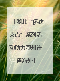 湖北“侨建支点”系列活动助力鄂州连通海外