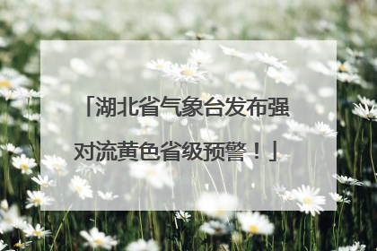湖北省气象台发布强对流黄色省级预警！