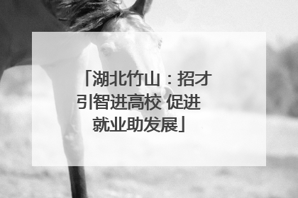 湖北竹山：招才引智进高校 促进就业助发展