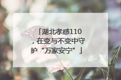 湖北孝感110，在变与不变中守护“万家安宁”