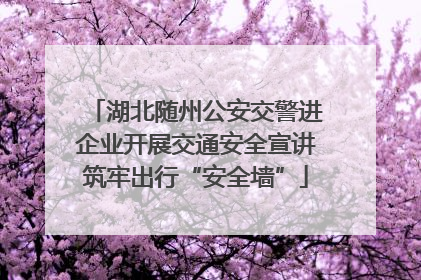 湖北随州公安交警进企业开展交通安全宣讲筑牢出行“安全墙”