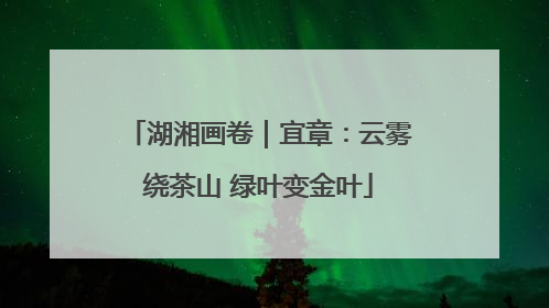 湖湘画卷｜宜章：云雾绕茶山 绿叶变金叶