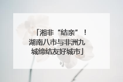 湘非“结亲”！湖南八市与非洲九城缔结友好城市