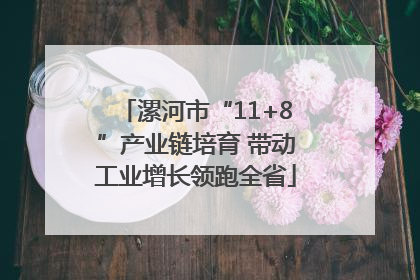 漯河市“11+8”产业链培育 带动工业增长领跑全省