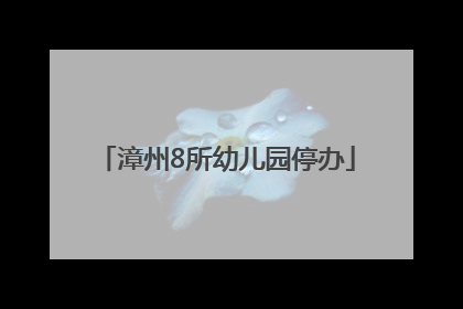 漳州8所幼儿园停办