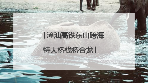 漳汕高铁东山跨海特大桥栈桥合龙