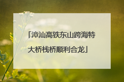 漳汕高铁东山跨海特大桥栈桥顺利合龙