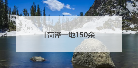 菏泽一地150余亩百合花海上线
