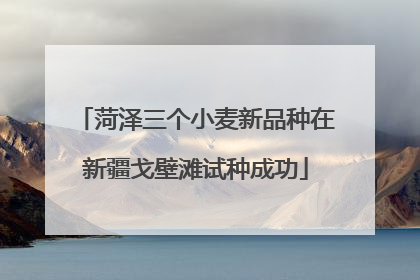 菏泽三个小麦新品种在新疆戈壁滩试种成功