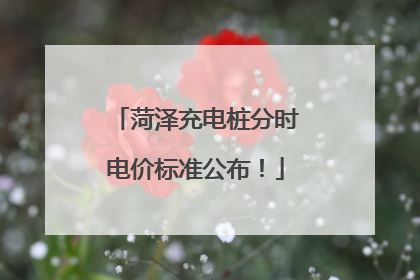 菏泽充电桩分时电价标准公布！