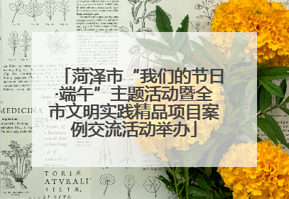 菏泽市“我们的节日·端午”主题活动暨全市文明实践精品项目案例交流活动举办