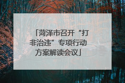 菏泽市召开“打非治违”专项行动方案解读会议