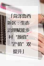 菏泽鲁西新区：生态治理赋能乡村“颜值”“产值”双提升