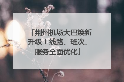 荆州机场大巴焕新升级！线路、班次、服务全面优化