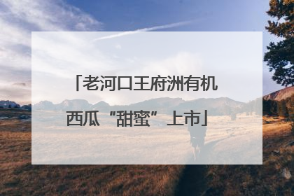 老河口王府洲有机西瓜“甜蜜”上市