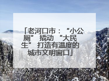 老河口市：“小公厕” 撬动 “大民生” 打造有温度的城市文明窗口