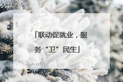 联动促就业，服务“卫”民生
