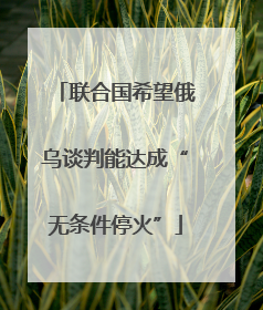 联合国希望俄乌谈判能达成“无条件停火”
