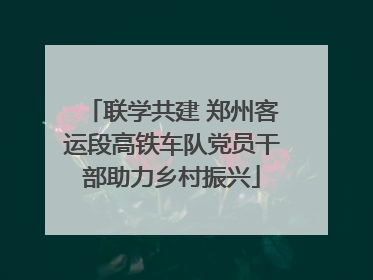 联学共建 郑州客运段高铁车队党员干部助力乡村振兴