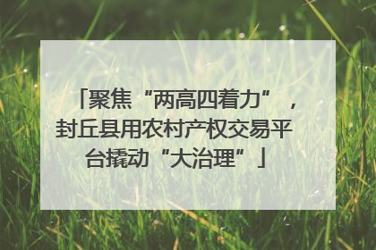 聚焦“两高四着力”，封丘县用农村产权交易平台撬动“大治理”