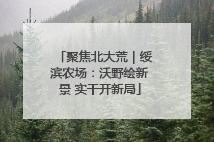 聚焦北大荒｜绥滨农场：沃野绘新景 实干开新局