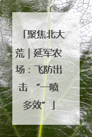 聚焦北大荒｜延军农场：飞防出击 “一喷多效”