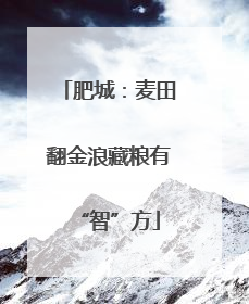 肥城：麦田翻金浪藏粮有“智”方