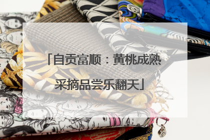 自贡富顺：黄桃成熟 采摘品尝乐翻天