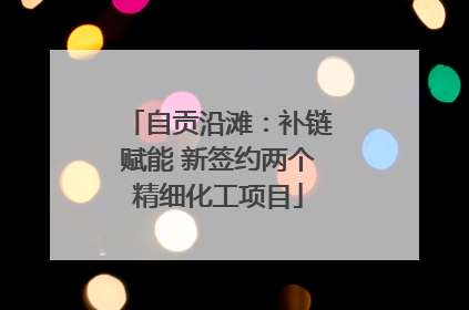 自贡沿滩：补链赋能 新签约两个精细化工项目
