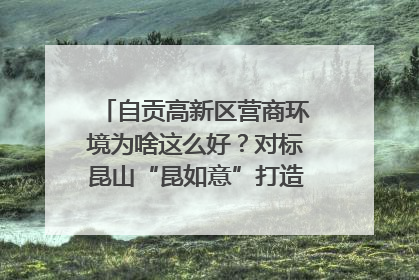 自贡高新区营商环境为啥这么好？对标昆山“昆如意”打造自贡“高兴办”｜美好生活有“盐”味
