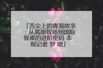 舌尖上的青海故事：从高原牧场到国际餐桌的进阶密码 本报记者 罗 珺