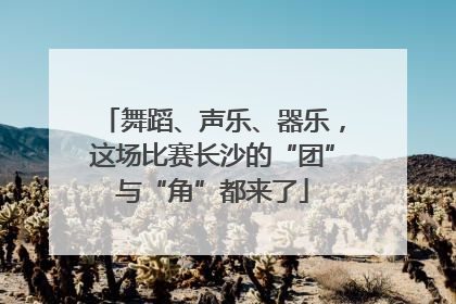 舞蹈、声乐、器乐，这场比赛长沙的“团”与“角”都来了