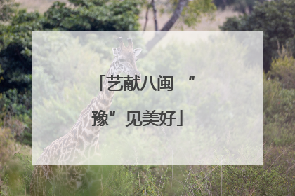 艺献八闽 “豫”见美好