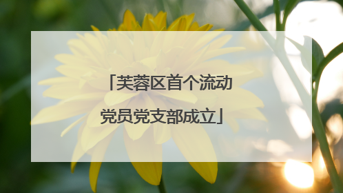 芙蓉区首个流动党员党支部成立