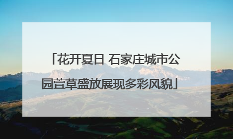 花开夏日 石家庄城市公园萱草盛放展现多彩风貌
