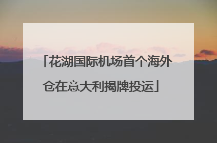 花湖国际机场首个海外仓在意大利揭牌投运