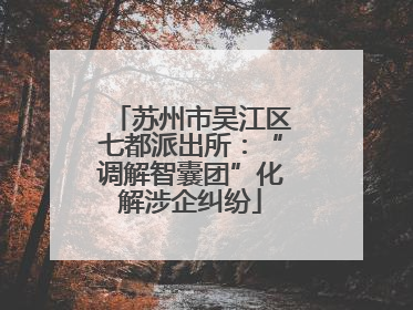 苏州市吴江区七都派出所：“调解智囊团”化解涉企纠纷