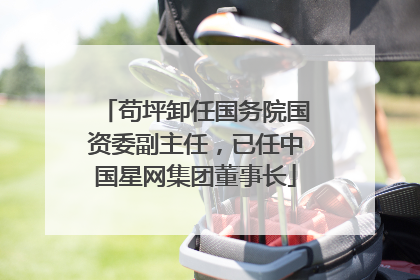 苟坪卸任国务院国资委副主任，已任中国星网集团董事长
