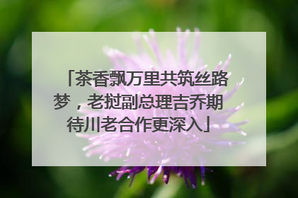 茶香飘万里共筑丝路梦，老挝副总理吉乔期待川老合作更深入