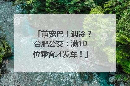 萌宠巴士遇冷？合肥公交：满10位乘客才发车！
