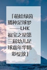 萌娃绿茵播种足球梦——LHK福宝之星第三届幼儿足球嘉年华精彩绽放