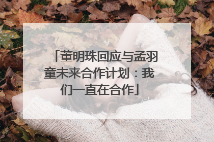 董明珠回应与孟羽童未来合作计划：我们一直在合作