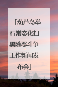 葫芦岛举行常态化扫黑除恶斗争工作新闻发布会