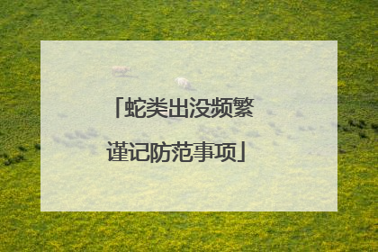 蛇类出没频繁 谨记防范事项