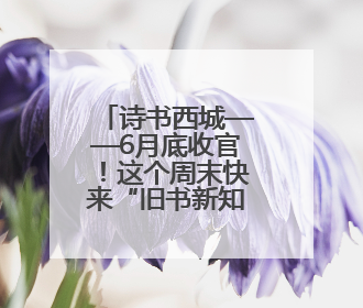 诗书西城——6月底收官！这个周末快来“旧书新知·小石虎古旧书市”